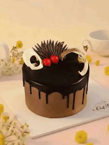 Chocolate Cream Gateaux Cake